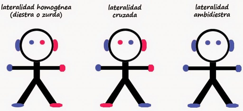 Lateralidad